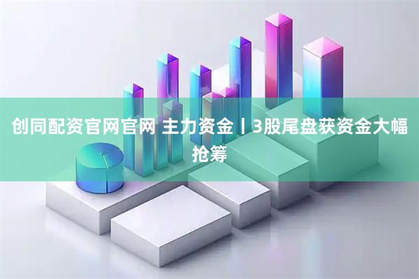 创同配资官网官网 主力资金丨3股尾盘获资金大幅抢筹