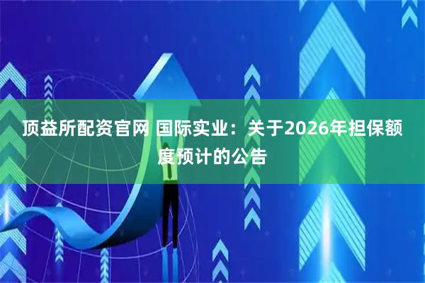 顶益所配资官网 国际实业：关于2026年担保额度预计的公告