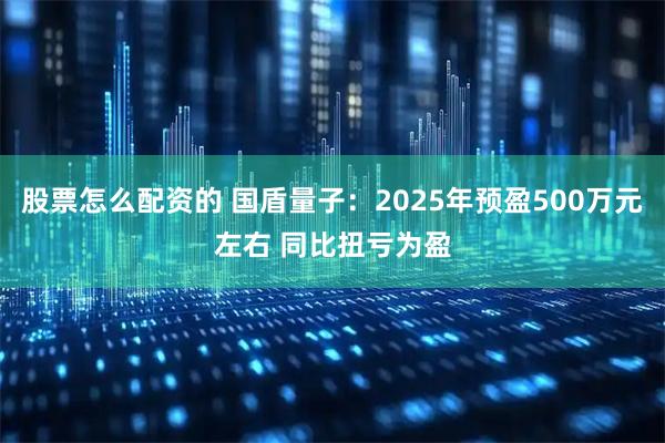 股票怎么配资的 国盾量子：2025年预盈500万元左右 同比扭亏为盈
