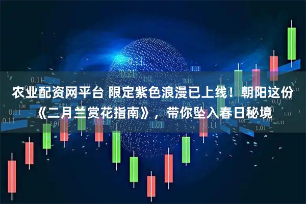 农业配资网平台 限定紫色浪漫已上线!朝阳这份《二月兰赏花指南》,带你坠入春日秘境